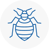 Bed Bug Extermination In Newcastle